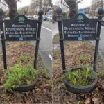 Before and after of cleanup