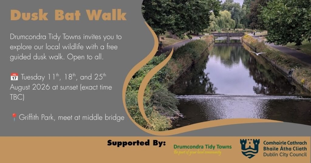 Details of the 2026 bat walk